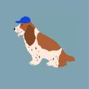 Cocker Spaniel mit Cap