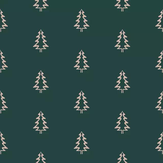 Winter Trees fir green