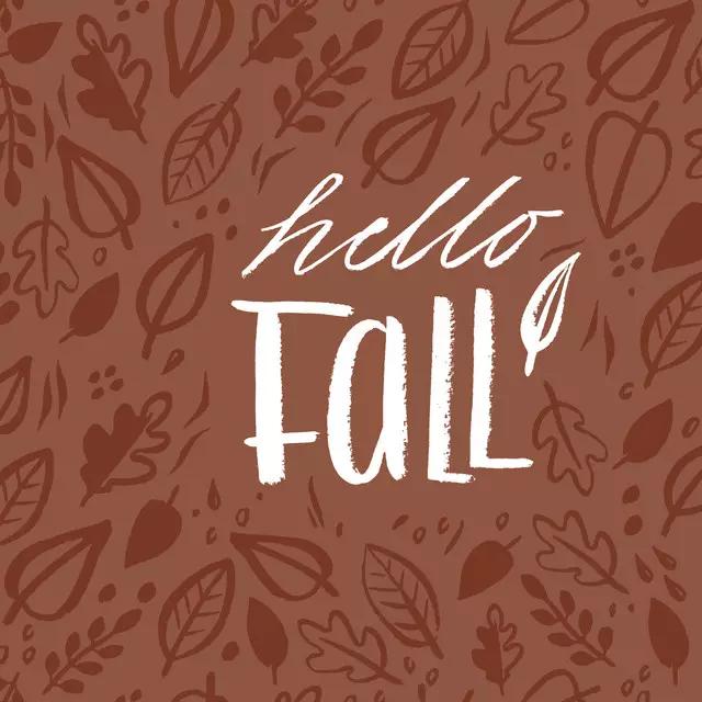 Hello Fall braun