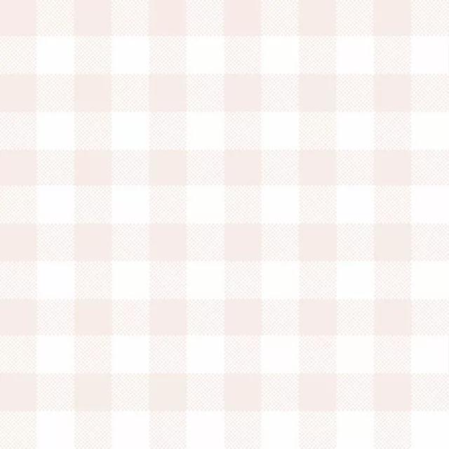 Pink Weiß Gingham Grid 2