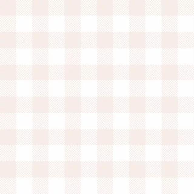 Pink Weiß Gingham Grid 2