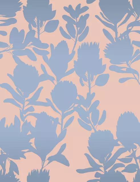 Protea Peach Blue